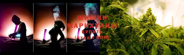 спайс Бородино
