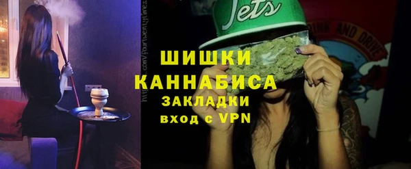 стаф Бронницы
