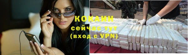 стаф Бронницы
