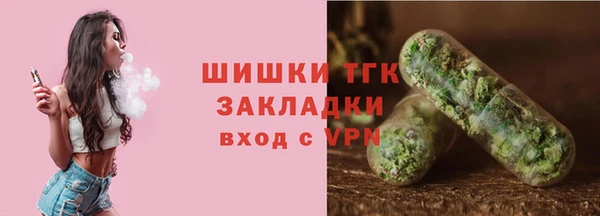 стаф Бронницы